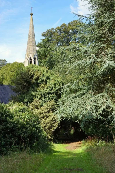 Kirchturm Wald Des Viktorianischen Friedhofs Boston Lincs Großbritannien — Stockfoto