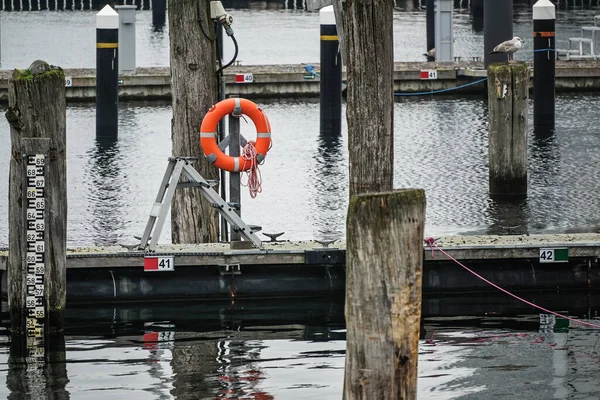 Oranje Reddingsboei Reddingsring Verweerde Houten Aanlegpalen Dolfijnen Een Lege Jachthaven — Stockfoto