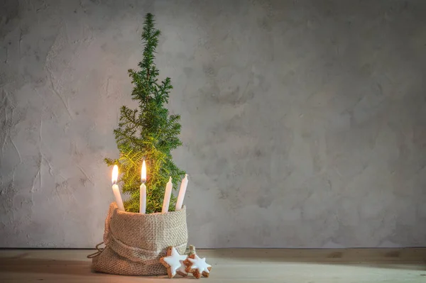 Альтернативный Рождественский Венок Две Свечи Зажженные Пламенем Маленьком Хвойном Растении — стоковое фото