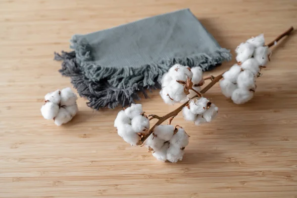 持続可能でかなり成長した綿で作られた生地 木製のテーブルの上に2つの布と小枝 コピースペース 選択されたフォーカス フィールドの狭い深さ — ストック写真