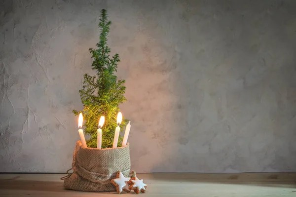 Alternativer Adventskranz Drei Brennende Kerzen Einem Kleinen Nadelbaum Als Weihnachtsbaumsymbol — Stockfoto