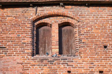 Tarihi Rehna kilisesinin kırmızı tuğla duvarına kemerli çift pencereler (ve iki güvercin) döşenmiş olan gotik tuğla mimari Kuzey Almanya 'da yaygındı.