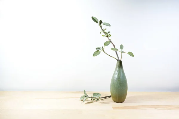Small vase with a sprig of sage on a light wooden table or desk in front of a white wall, minimalist home decoration, large copy space, selected focus