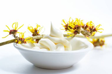 Hamamelis branch (witch hazel) with yellow flowers and a small white bowl with skin cream, healing natural cosmetics, light background, close-up, copy space, selected focus, narrow depth of field