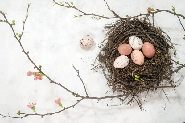 Птичье Гнездо Пасхальными Яйцами Розовыми Цветущими Ветвями Айвы Деревенском Белом — стоковое фото