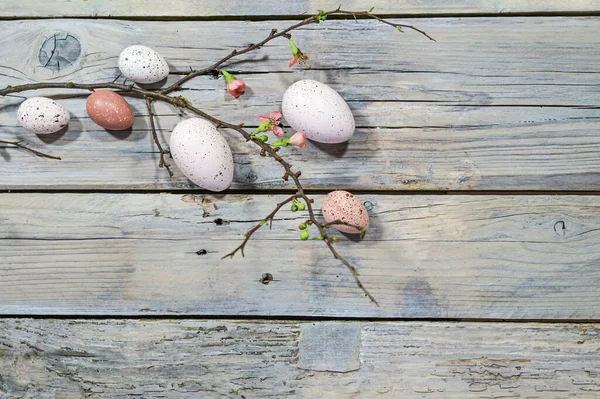 色彩艳丽的复活节彩蛋和一个枝条上几乎没有花的乡村灰色木制背景 复制空间 从上方高天使的视角 选择焦点 — 图库照片