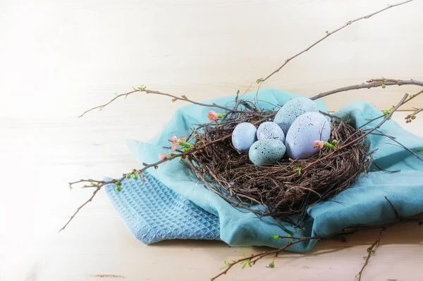Modrá Tyrkysová Velikonoční Vajíčka Hnízdě Větviček Keříků Květinami Plátně Lehkým — Stock fotografie