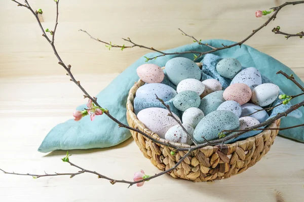 Muchos Huevos Pascua Color Pastel Una Cesta Una Rama Con — Foto de Stock