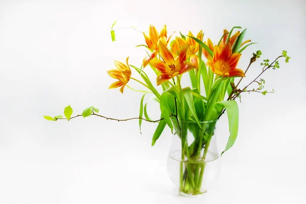 オレンジチューリップ花束非常に軽い背景にガラス花瓶のいくつかの春の枝 イースターや母の日のための休日の挨拶カード コピースペース 選択した焦点 フィールドの狭い深さ — ストック写真