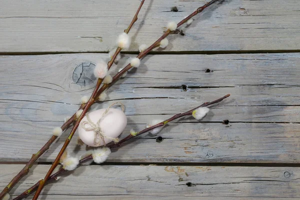 Œuf Pâques Blanc Avec Des Branches Saule Avec Des Chatons — Photo