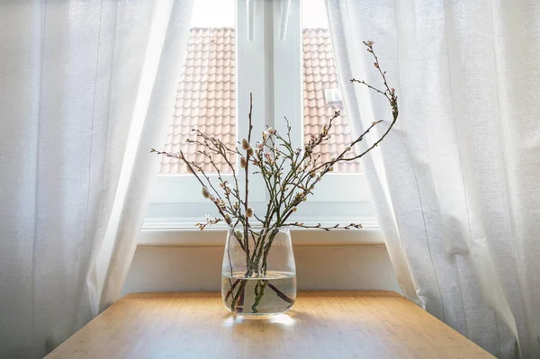 Bouquet Flowering Branches Pussy Willow Catkins Glass Vase Table Front — Foto Stock