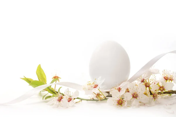 白色复活节彩蛋 有一枝淡淡的野果花 节日贺卡 复制空间 精选焦点 狭窄的田野深度 — 图库照片