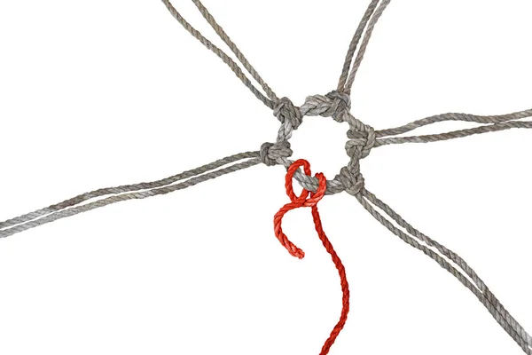 粗俗的绳子结成一个结的圆环 其中一个红色的有一个松散的末端 概念介于内聚力 个人主义和倦怠之间 被白色的背景隔开 复制空间 — 图库照片