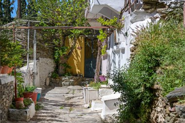 Yunanistan 'ın Selanik kentinin tarihi üst kesimindeki Ani Poli' nin dar arka bahçesi, taşlı zemin ve cephelerde şarapla süslenmiş saksı bitkileriyle seçilmiş bir odak noktası.