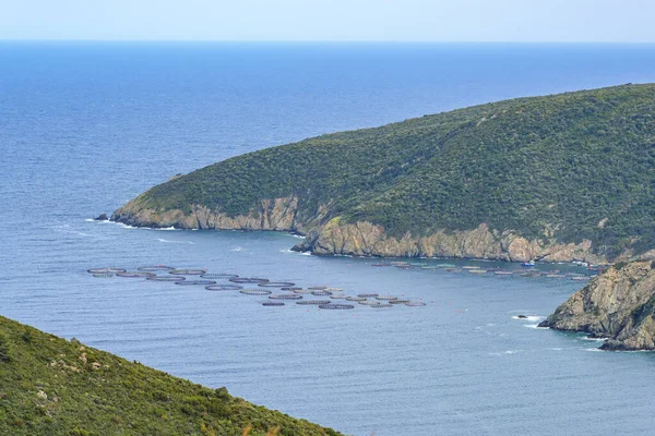 Yunanistan 'da Chalkidiki' de Sithonia körfezinde bir su kültürü. Dar kafeslerdeki pek çok balık antibiyotiklerle tedavi edilir ve dışkılar bölgedeki suyu kirletir, kopyalama alanı, seçilmiş odak noktası