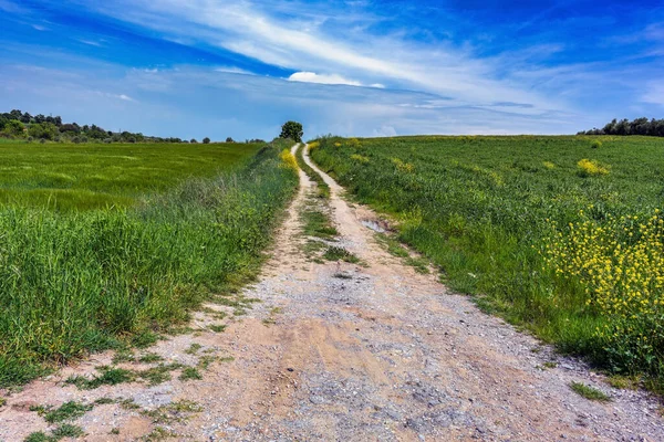 Gravel Country Road Leading Meadows Fields Horizon Blue Sky Clouds — Stock Photo, Image