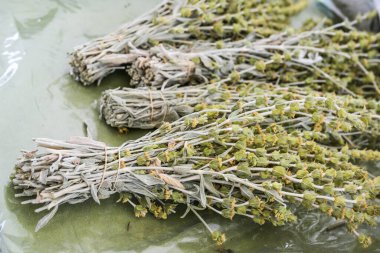 Soğuk algınlığı ve sindirim problemleri için aromatik sıcak içecek veya bitkisel tıpta kullanılan kurutulmuş demir kurdu veya Yunan dağ çayı (Sideritis Scardica) seçilmiş odak noktası, dar alan derinliği