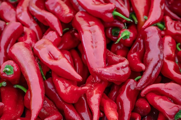 市场上出售的一堆堆红色尖甜椒或辣椒 从有机蔬菜农场收获 全框架食物背景 复制空间 选定的焦点 狭窄的田野深度 — 图库照片