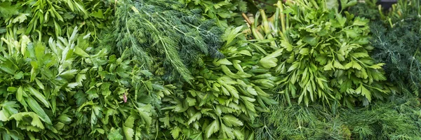 Oogsten Van Verse Groene Kruiden Zoals Peterselie Dille Koop Een — Stockfoto