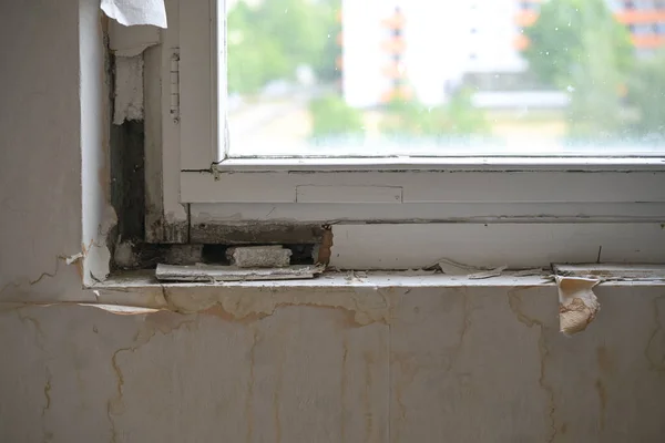 Sofá Janela Danificada Com Molde Preto Devido Umidade Antigo Apartamento — Fotografia de Stock