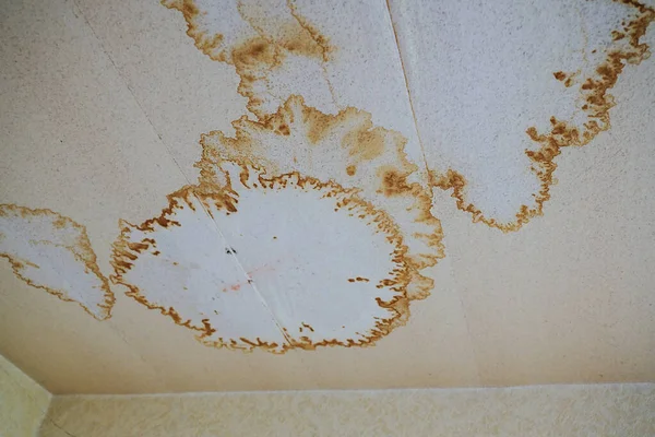 Moisture Damage Wallpapered Ceiling Older Rental Apartment Need Renovation Architecture — Stock Photo, Image