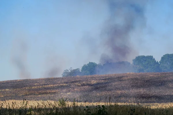 Rook Asdeeltjes Boven Een Afgebrand Landbouwveld Een Periode Van Hitte — Stockfoto