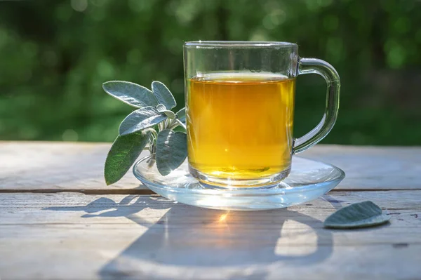 Τσάι Φασκόμηλο Γυάλινη Κούπα Ξύλινο Τραπέζι Υγιεινό Ζεστό Ρόφημα Και — Φωτογραφία Αρχείου