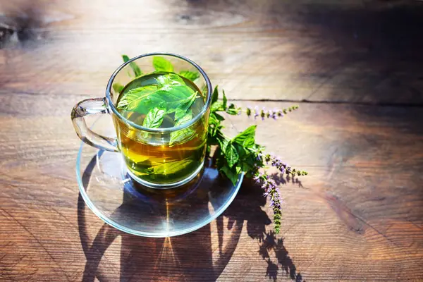 Peppermint tea from fresh leaves and flowering twigs in a glass cup, refreshment and herbal medicine on a rustic wooden table, reflection and shadows from sunlight, copy space, selected focus