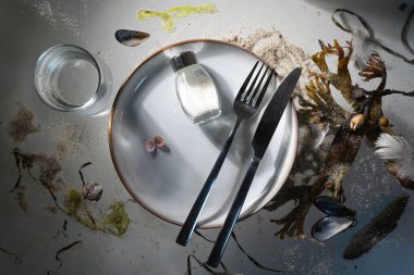 Tabak, çatal bıçak takımı ve mesane kırıntısı, deniz kabuğu ve gri arka planda koyu sert gölgeli kum gibi mahsur kalmış eşyalar arasında bir tuzluk, okyanus konseptinin ekolojisi, seçilmiş odaklanma