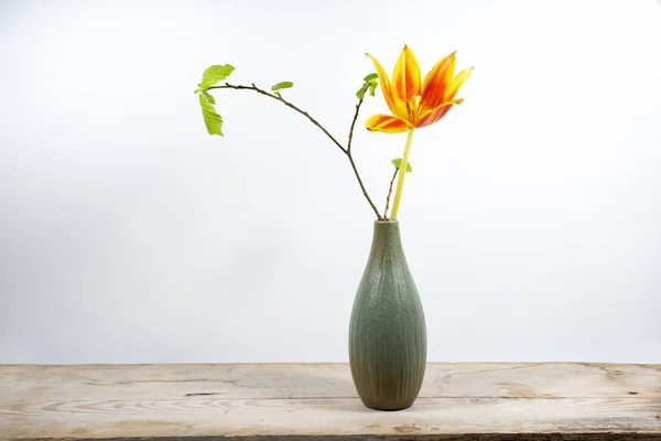 Single orange tulip flower and a spring branch in a small vase on a wooden board against a light background, seasonal decoration, copy space, selected focus, narrow depth of field