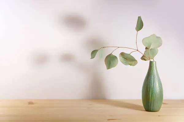 Sage green ceramic vase and a small eucalyptus branch with soft shadows against a warm toned wall on a wooden table, minimal still life as product background, copy space, selected focus