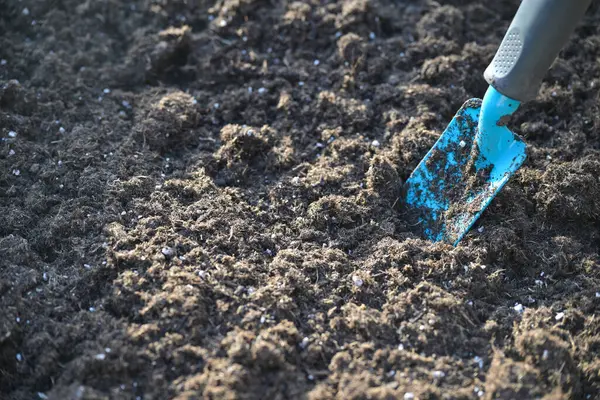 Pequeña Pala Jardinería Azul Excavando Suelo Marrón Oscuro Preparación Para Imagen De Stock