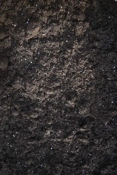 深褐色植物土壤 背景纹理 园艺和生态概念 复制空间 图库图片