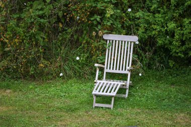 Çevre dostu doğal bir bahçedeki yabani bir çalılığın önündeki çimenlikte gri ahşaptan yapılmış boş bahçe sandalyesi doğa gözlemi için cennet gibi bir yer, kopyalama alanı, seçilmiş odak noktası.