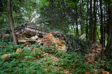 Ormanda harabe olarak çöken tuğla ev sarmaşık ve diğer bitkilerle kaplandı. Almanya 'da Carlow yakınlarındaki eski Maurine değirmeninde yerini kaybetti.