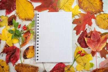 Sonbahar yaprakları arasındaki boş spiral defter kırmızı, turuncu ve altın, sonbahar teması maketi, kopyalama alanı, yukarıdan yüksek açı görünümü, seçili odak