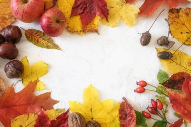 Kırmızı, turuncu ve altın yapraklardan, elmalardan, meşe palamudlarından, kestanelerden ve gül kalçalarından oluşan sonbahar arkaplanı beyaz alçı bir yüzey etrafında çerçeve olarak dizilmiş, kopyalama alanı, seçilmiş odak noktası