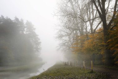 Kanal kıyısında sis, sonbahar yapraklı büyük ağaçlar arasında mevsimsel hava koşulları, Kuzey Almanya, kopyalama alanı, seçilmiş odak alanı, dar alan derinliği. 