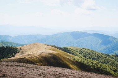 Hiking in the Carpathian Mountains. Sunny summer day. Mountain panoramas.