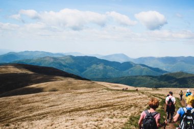 Hiking in the Carpathian Mountains. A group of people walking on the road. Sunny summer day.