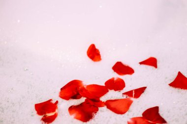 Bath water with rose petals. St. Valentine's Day bath. Aromatherapy with flower petals.