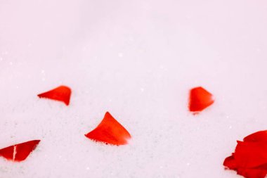 Bath water with rose petals. St. Valentine's Day bath. Aromatherapy with flower petals.