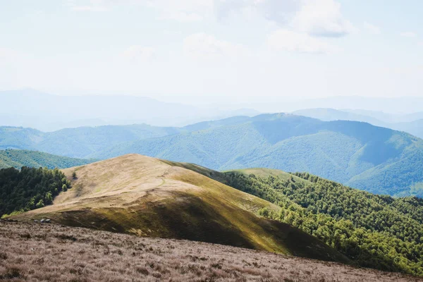 Hiking in the Carpathian Mountains. Sunny summer day. Mountain panoramas.