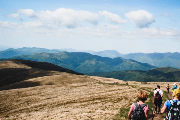 Hiking in the Carpathian Mountains. A group of people walking on the road. Sunny summer day.