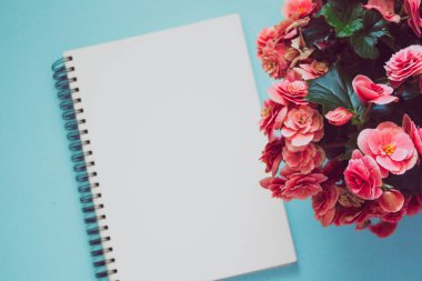notepad on a blue background. with pink flowers