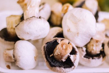 Taze mantar tam kare