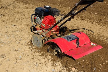 Çiftçi toprak ekimi ve patates ekimi için küçük traktör sürüş. Bahar hazırlığı