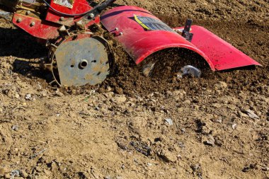 Çiftçi toprak ekimi ve patates ekimi için küçük traktör sürüş. Bahar hazırlığı