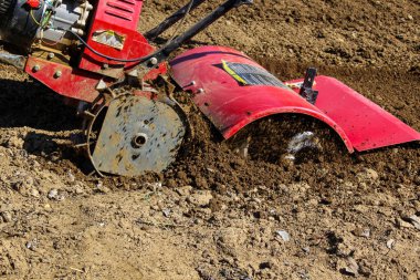 Çiftçi toprak ekimi ve patates ekimi için küçük traktör sürüş. Bahar hazırlığı