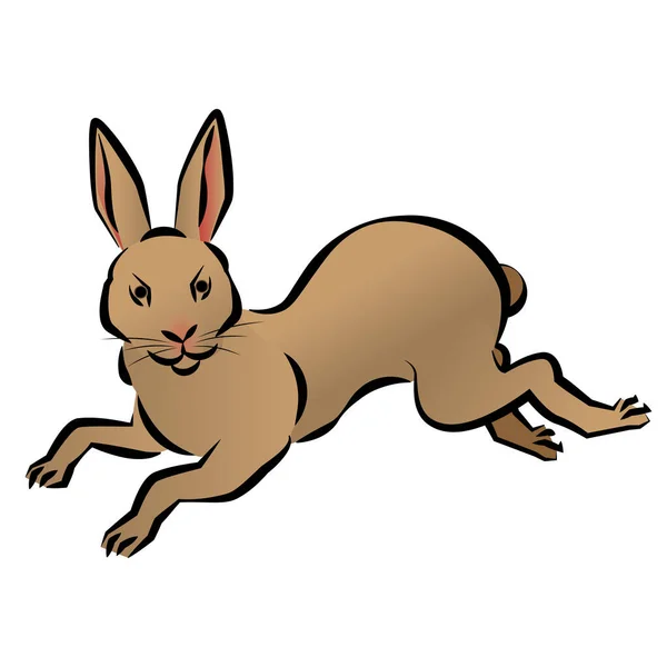 Brown Rabbit Rabbit Year Vector Illustration — Stock Vector